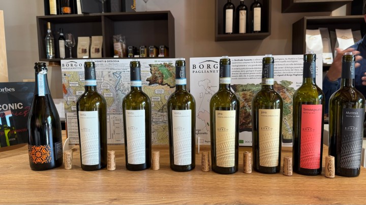 A display of various wine bottles arranged on a wooden table, featuring both sparkling and still wines. Behind the bottles is a map and information about the Borgo Paglianetti winery.