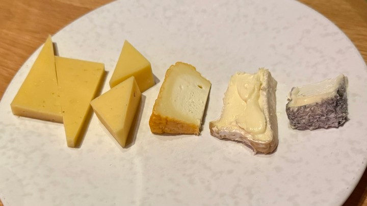 A selection of various cheeses displayed on a round white plate, featuring distinct shapes and textures, including blocks, wedges, and a spreadable cheese.