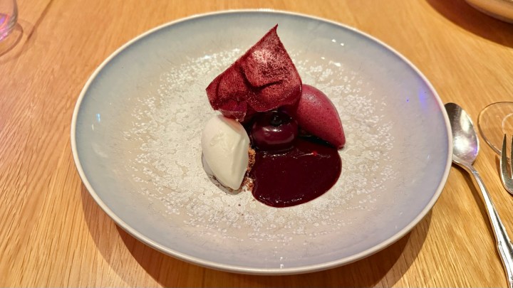 A dessert plate featuring two scoops of ice cream, one white and one pinkish-red, accompanied by a dark fruity sauce and topped with a red crisp layer on a light-colored dish.