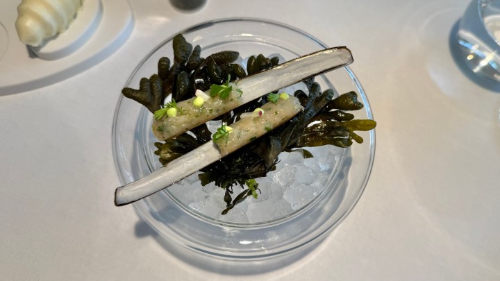 A gourmet dish featuring two elongated, white garnishes resting on a bed of seaweed, presented in a clear bowl filled with ice. The dish is decorated with small herbs and sauce, showcasing an elegant and modern culinary presentation.