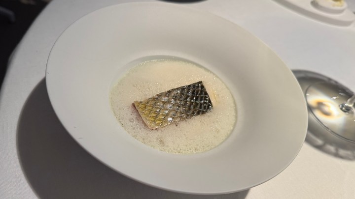 A plate featuring a piece of fish with skin, served in a light, frothy broth.