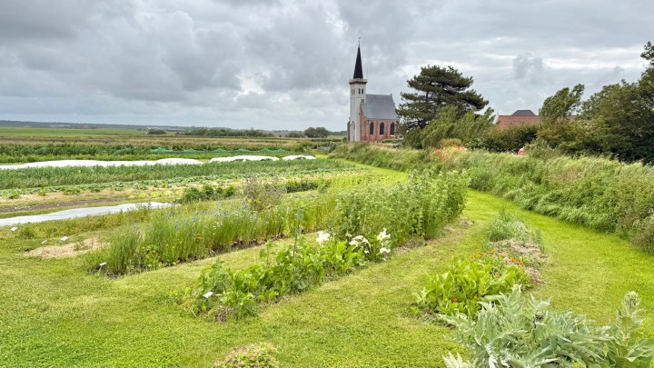 A lush green landscape featuring vegetable gardens in the foreground, with a church tower visible in the background under a cloudy sky.