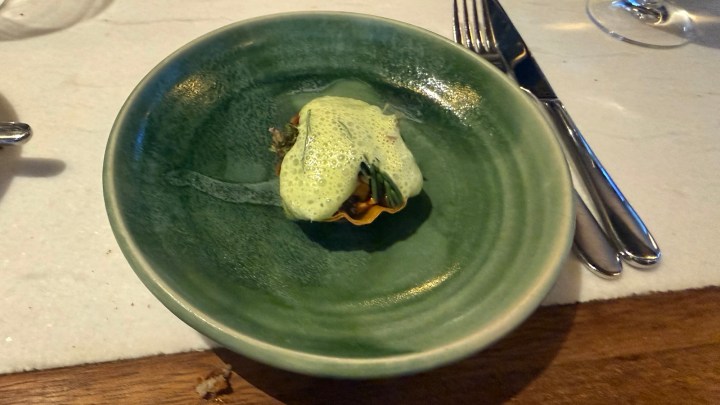 A gourmet dish presented on a green plate, featuring a small portion of food topped with a light green foam, garnished with herbs.