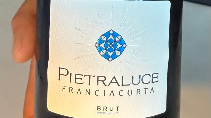 Close-up of a hand holding a bottle of Pietraluce Franciacorta Brut wine, featuring a sleek label with a blue geometric design.
